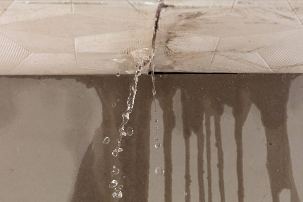 Professional Structural Drying technician working in Russellville, AR